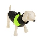 Куртка на синтепоне, размер XL (ОГ 53 см, ДС 39 см), черная с зеленым - Фото 1