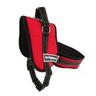 Шлейка с подкладом светоотражающая, размер M (ОШ 60, ОГ 62-76 см), стропа 2,5 см, - фото 37409500