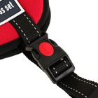 Шлейка с подкладом светоотражающая, размер M (ОШ 60, ОГ 62-76 см), стропа 2,5 см, - фото 37409501