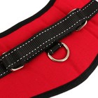 Шлейка с подкладом светоотражающая, размер M (ОШ 60, ОГ 62-76 см), стропа 2,5 см, - фото 37409503