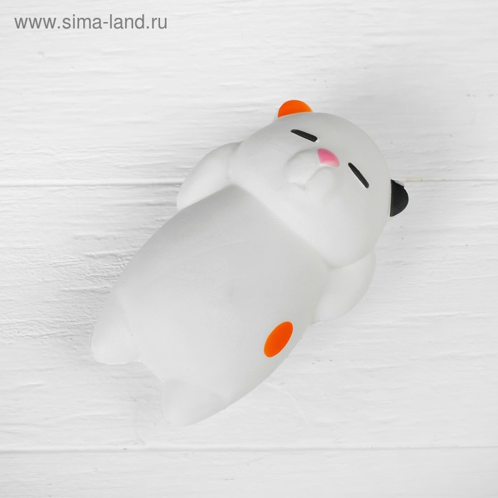 Мялка-сквиши «Котик» - Фото 1