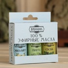 Набор эфирных масел эвкалипт, пихта, сосна, «Добропаровъ», 3 шт. по 17 мл - Фото 6