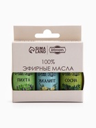 Набор эфирных масел эвкалипт, пихта, сосна, «Добропаровъ», 3 шт. по 17 мл - Фото 14