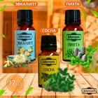 Набор эфирных масел эвкалипт, пихта, сосна, «Добропаровъ», 3 шт. по 17 мл - Фото 2