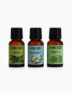 Набор эфирных масел эвкалипт, пихта, сосна, «Добропаровъ», 3 шт. по 17 мл - Фото 10