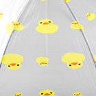 Зонт детский «Уточки» - Фото 4