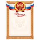 Диплом классический "Российская символика", золотая рамка, 21х29,7 см - фото 318120557