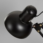 Лампа настольная на шарнире 800 "Крус, чёрная" E27 40W RISALUX - Фото 6