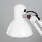 Лампа настольная на шарнире 800 "Крус, белая" E27 40W RISALUX - Фото 6