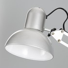 Лампа настольная на шарнире 800 "Крус, серебро" E27 40W RISALUX - Фото 5