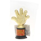 Кубок, наградная фигура «Самый лучший воспитатель», пластик, золото, 10.5 см - Фото 7