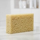 Губка для тела мягкая «Губка морская», 20×11.5×5 см - Фото 1