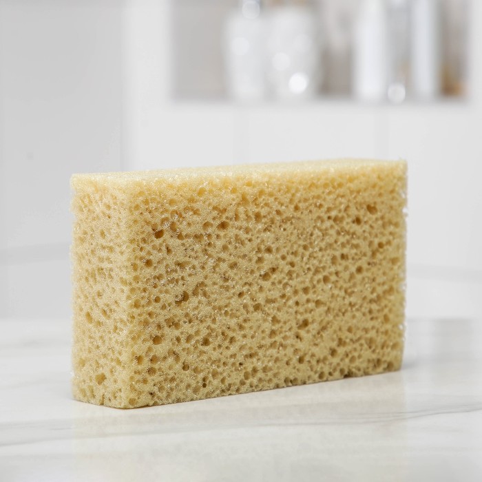 Губка для тела мягкая «Губка морская», 20×11.5×5 см - Фото 1