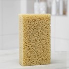 Губка для тела мягкая «Губка морская», 20×11.5×5 см - Фото 2