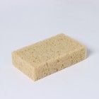 Губка для тела мягкая «Губка морская», 20×11.5×5 см - Фото 5