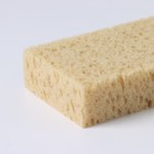 Губка для тела мягкая «Губка морская», 20×11.5×5 см - Фото 6