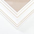 Фоторамка сосна с33 0033 40х50 см (пластиковый экран) - Фото 2