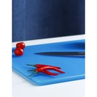 Доска профессиональная разделочная Доляна, 40×30×1,2 см, цвет синий - Фото 2