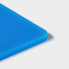 Доска профессиональная разделочная Hanna Knövell, 40×30×1.2 см, полиэтилен, синяя - Фото 3