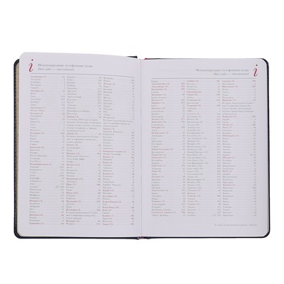 Ежедневник недатированный А5+, 136 листов Sidney Nebraska, обложка искусственная кожа, серебряный срез, синий