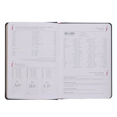 Ежедневник недатированный А5+, 136 листов Sidney Nebraska, обложка искусственная кожа, серебряный срез, синий