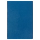 Ежедневник недатированный А5, 160 листов Megapolis, твёрдая обложка, искусственная кожа, синий - фото 8729596