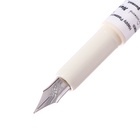 Перьевая ручка Calligrata «Перламутр», с закрытым пером, МИКС - Фото 16