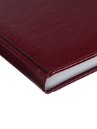 Ежедневник недатированный А5, 160 листов «Небраска», бордовый - Фото 12