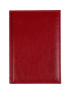 Ежедневник недатированный Calligrata. Nebraska, А5, 160 листов, твёрдый переплёт, кожзам, красный - Фото 12