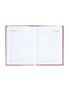 Ежедневник недатированный Calligrata. Nebraska, А5, 160 листов, твёрдый переплёт, кожзам, красный - Фото 16