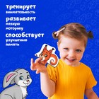 Макси - пазлы «Лесные животные», 5 пазлов, 10 деталей - Фото 6