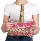 Набор корзин «Цветочный бантик», 2 шт, 25×17×11/28 см, 19×10×9/22 см, трава - Фото 5