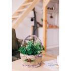 Набор корзин «Бантик», 2 шт, 21×21×13/29 см, 17×17×12/25 см, трава - Фото 5