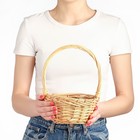 Корзина плетёная для хранения «Косичка», 17×17×9 см, ручка h=16 см - Фото 1