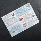 Набор для приготовления леденцов и мармелада «Ёлочка», цвет МИКС - Фото 9