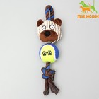 Игрушка для собак 3-в-1 "Медведь": канатная, мягкая с пищалкой, войлочный мяч, 30 см - фото 8731363