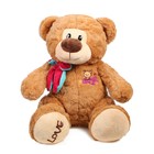 Мягкая игрушка «Медведь с бантом и вышивкой № 2, 30 см МИКС - Фото 1