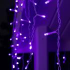 Гирлянда «Бахрома» 4 × 0.6 м, IP44, белая нить, 180 LED, свечение фиолетовое, 8 режимов, 220 В - Фото 3