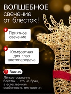 Светодиодная фигура «Олень с санями золотистый», олень: 65×130×27 см, сани: 120×70×45 см, металл, 220 В, свечение тёплое белое - Фото 3