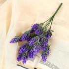 Букет искусственный «Шишечки», h=28 см, МИКС - Фото 1