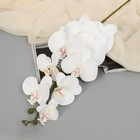 Цветы искусственные "Орхидея фаленопсис бархатистая" 10х90 см, белый - фото 318123663