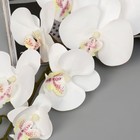 Цветы искусственные "Орхидея фаленопсис бархатистая" 10х90 см, белый - Фото 2