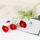 Цветы искусственные "Маки полевые" 5х58 см, красный - фото 318123669