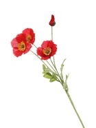 Цветы искусственные «Маки полевые», 5×58 см, красные  (артикул 3794227)  большой выбор товаров оптом и в розницу по низким ценам с доставкой