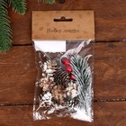 Новогодний декор «Морозные шишки», набор - Фото 1