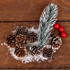 Набор новогоднего декора «Морозные шишки» - Фото 2