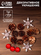 Новогодний декор «Шишки со снежинками», набор - Фото 1