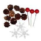 Новогодний декор «Шишки со снежинками», набор - Фото 5