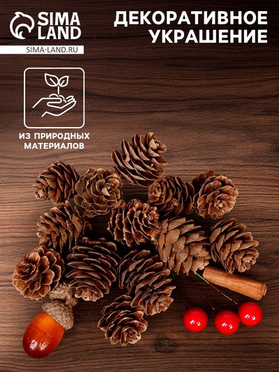 Новогодний декор «Пряные шишки»