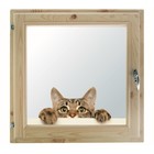 Окно, 50×50см, "Кошак", однокамерный стеклопакет - фото 298095355